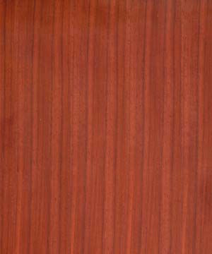 ��̴��Ԕ��(x��)��B