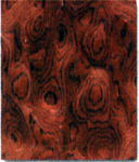 �t�֘����Ԕ��(x��)��B