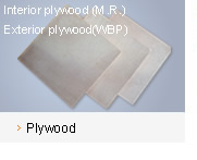 �c(di��n)���鿴plywood�Ŵ�DƬ