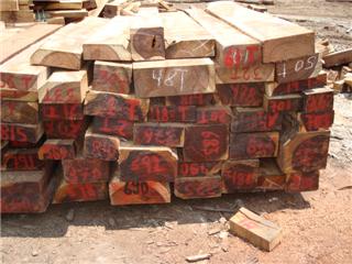 �c(di��n)���鿴܊�����Ŵ�DƬ