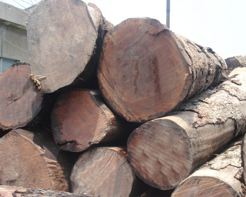 ����ԭľ��Ԕ��(x��)��B