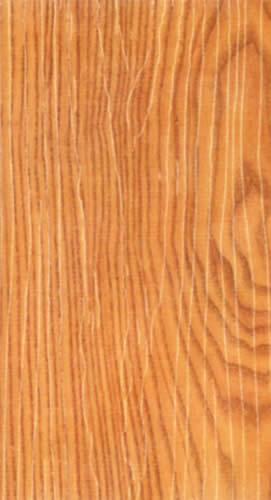 ������ֱ�y����Ԕ��(x��)��B