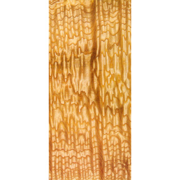 ������Ԕ��(x��)��B