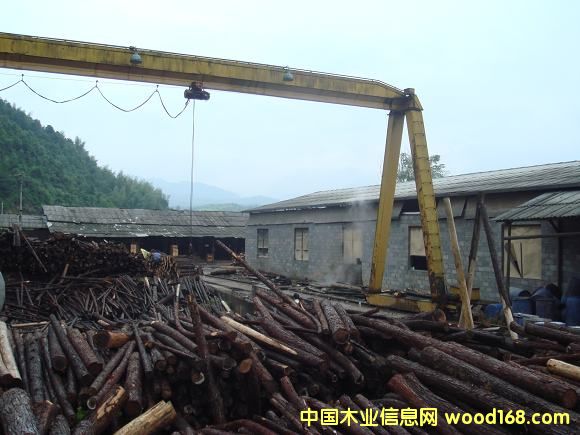 �c(di��n)���鿴��(ch��)ľ��(ch��ng)�Ŵ�DƬ