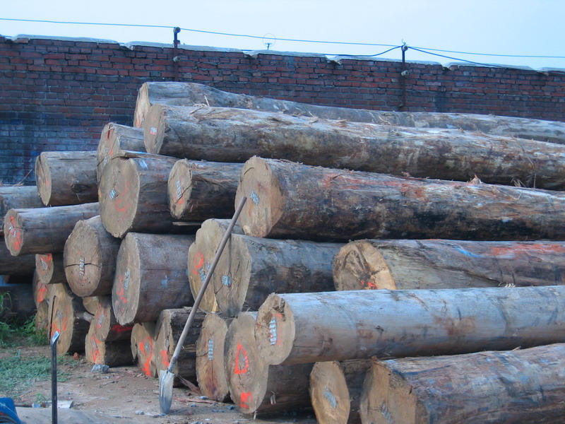 ԭľ��ŵ�Ԕ����B