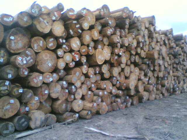 ���޿ڰ�ԭľ��Ԕ����B