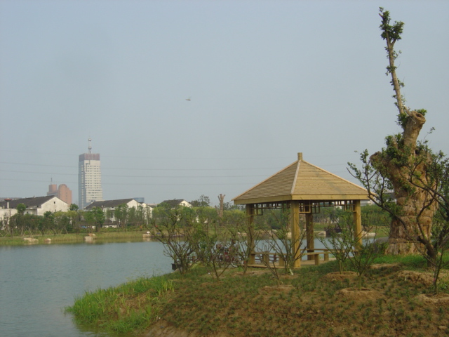 ��ͤ��Ԕ����B