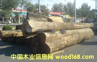 ����ԭľ��Ԕ����B