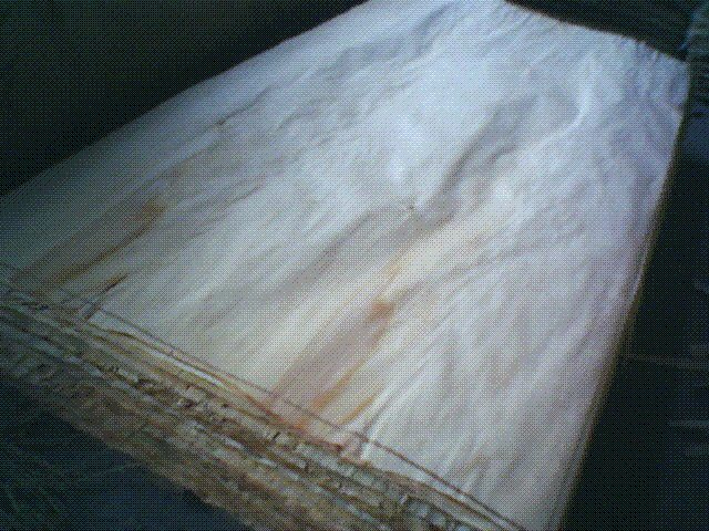 ��ľ��Ƥ��Ԕ��(x��)��B