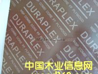 ��Ĥ��Ĥ��