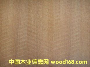 �tӰ�N����Ԕ��(x��)��B