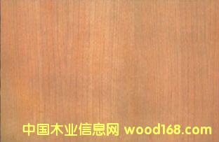 ���������N����Ԕ��(x��)��B