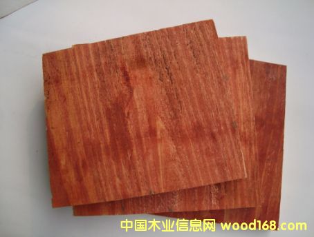 ���ֽ���ģ���Ԕ��(x��)��B