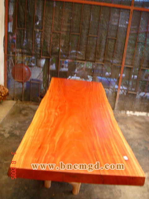 �c���鿴��z��ľ�Ŵ�DƬ