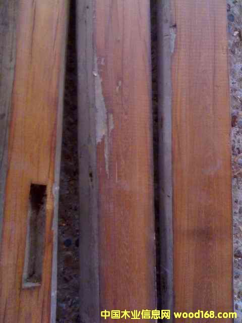 �c���鿴���ϼtľ�Ŵ�DƬ