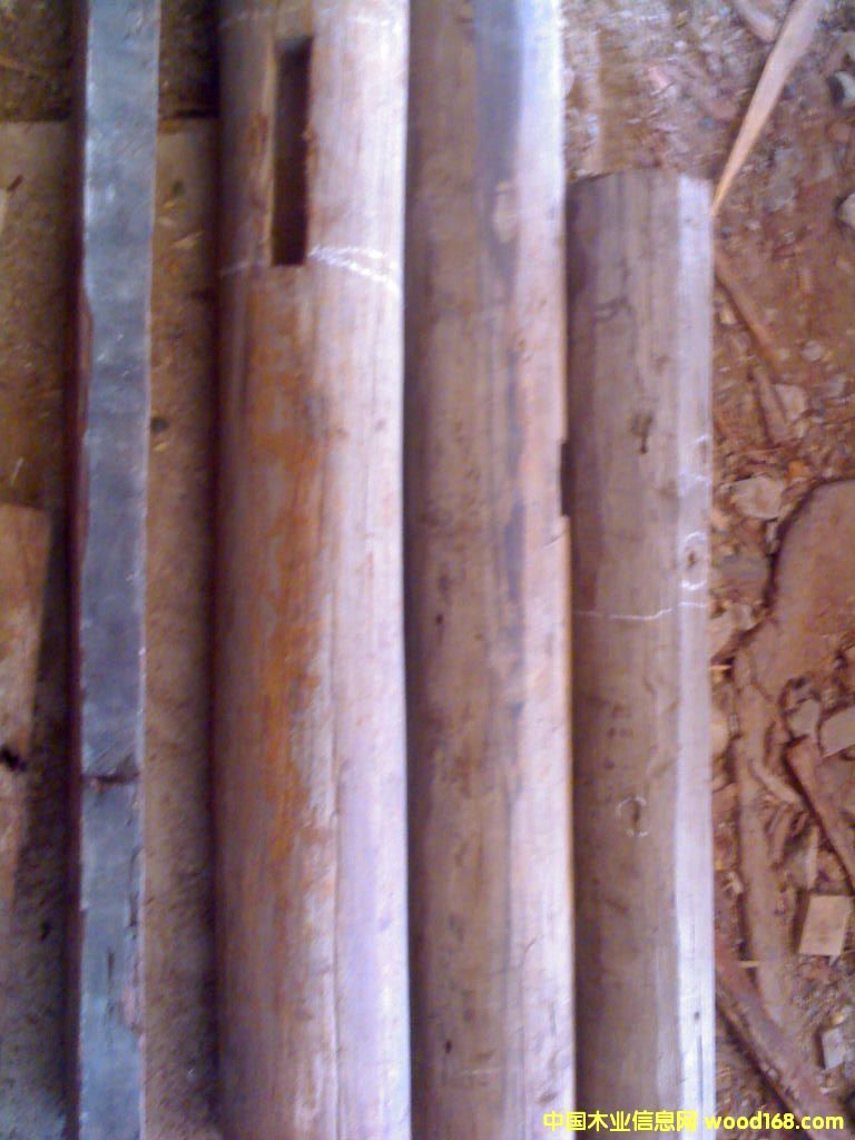 �c���鿴�tľ�Ŵ�DƬ