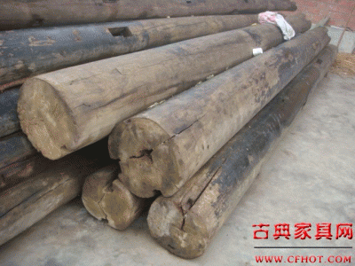 �c���鿴�ϼtľ�Ŵ�DƬ