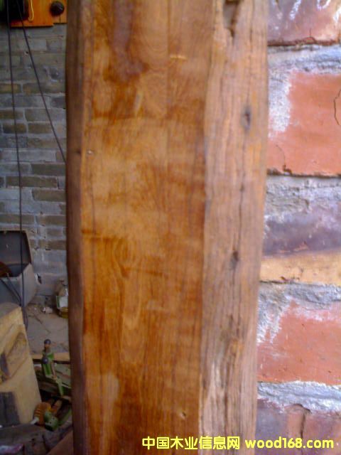 �c���鿴���ϼtľ�Ŵ�DƬ