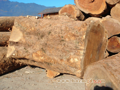 �c���鿴�Fľ�Ŵ�DƬ