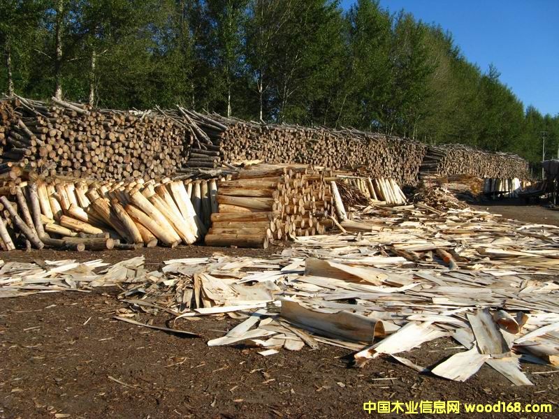 ��(ch��)ľ�^(q��)