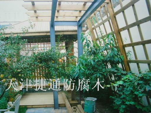 ���Ѽܵ�Ԕ����B