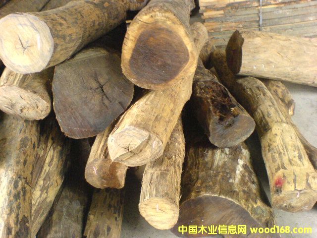 ��֦��Ԕ����B