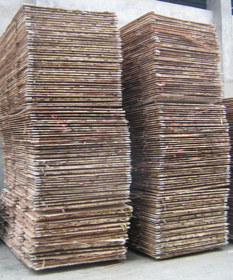 ��(x��)ľ������Ʒ��Ԕ��(x��)��B