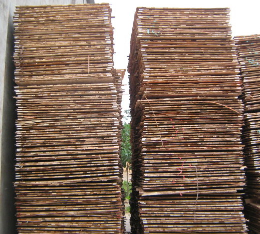 ��(x��)ľ������Ʒ��Ԕ��(x��)��B