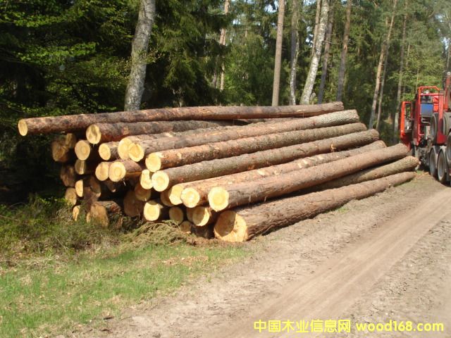 �c���鿴�W����ɼ�Ŵ�DƬ