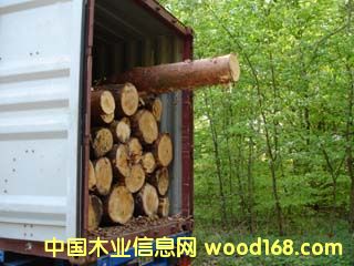 �c���鿴�W����ľ�Ŵ�DƬ