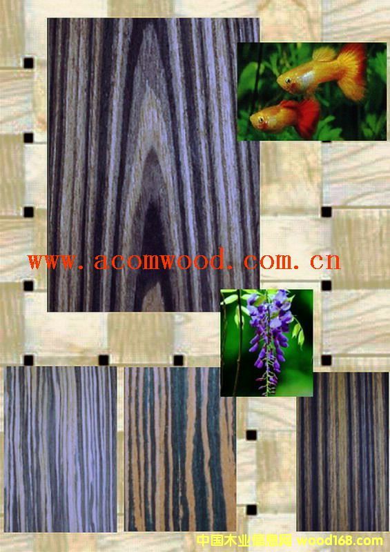 �b���8��Ԕ��(x��)��B