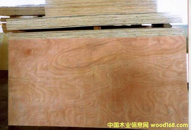 ������Ԕ��(x��)��B