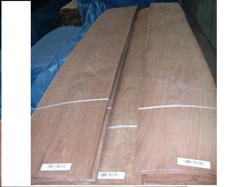 0.6����ľƤ��Ԕ��(x��)��B