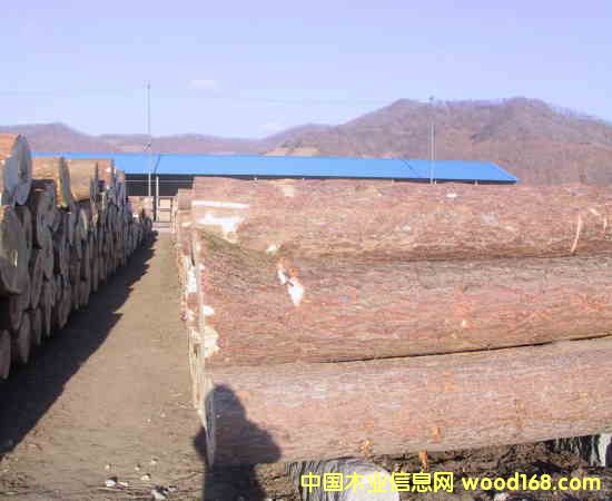 ��ľ����ľ���ľ��Ԕ��(x��)��B