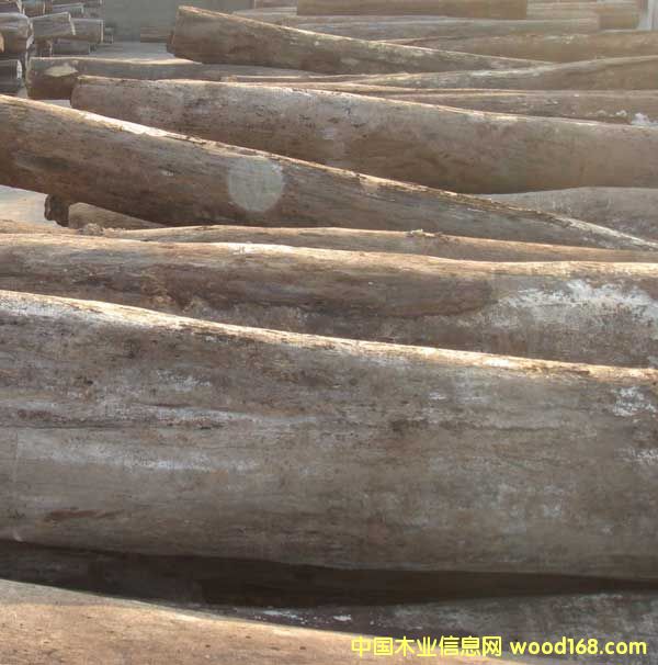 �����u��ľ��Ԕ��(x��)��B