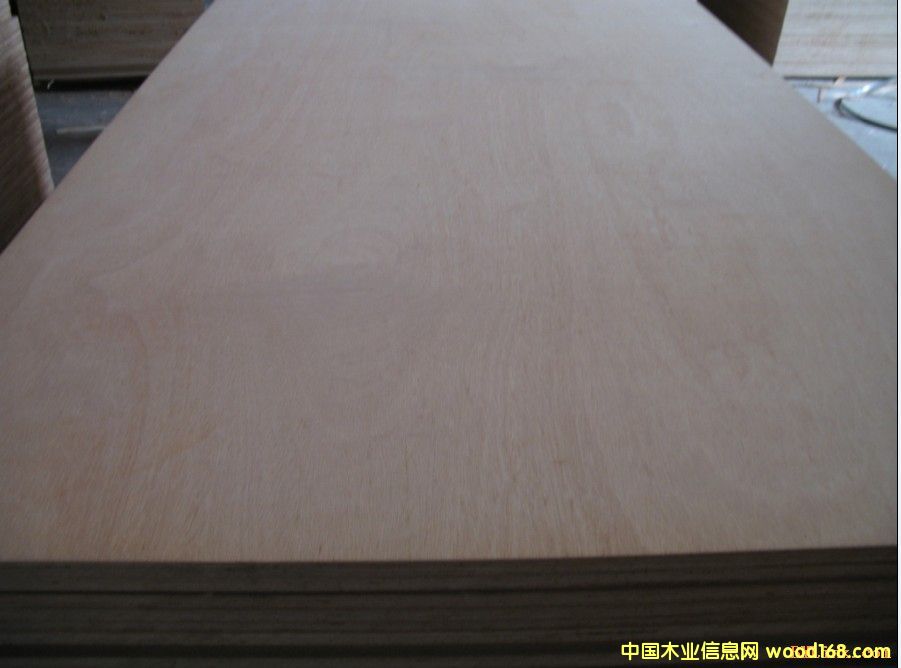 �W������Ԕ��(x��)��B