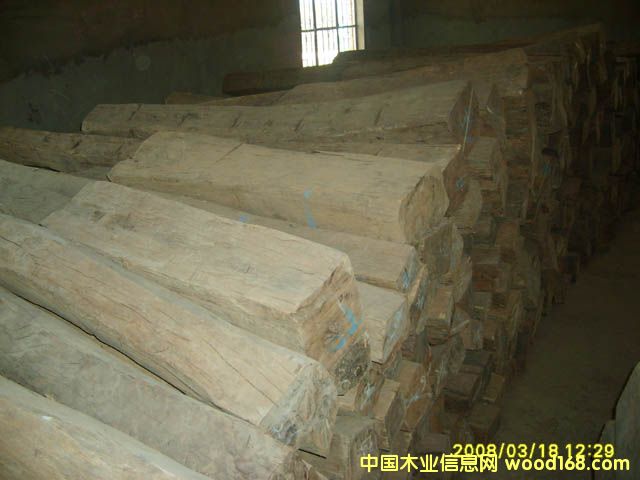 ������֦3��Ԕ��(x��)��B