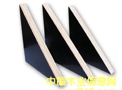 ����ģ���Ԕ����B