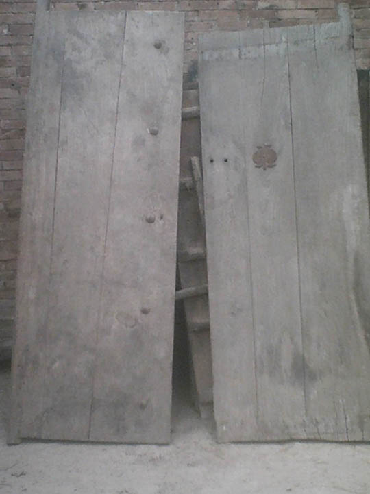 ���T���Ԕ��(x��)��B