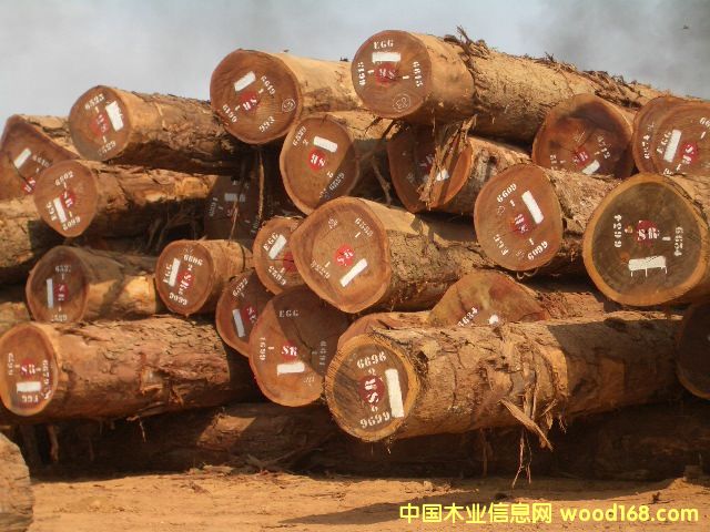 ����(y��ng)okan ԭľ