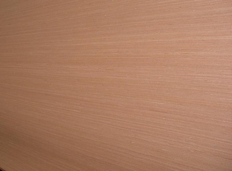 �Ƽ�ľϵ�е�Ԕ��(x��)��B