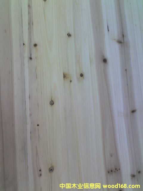 �c(di��n)���鿴��ɼľƴ�塮�Ŵ�DƬ