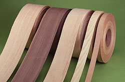 ľƤ��߅�l��Ԕ��(x��)��B