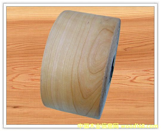 ľƤ��߅�l��Ԕ��(x��)��B