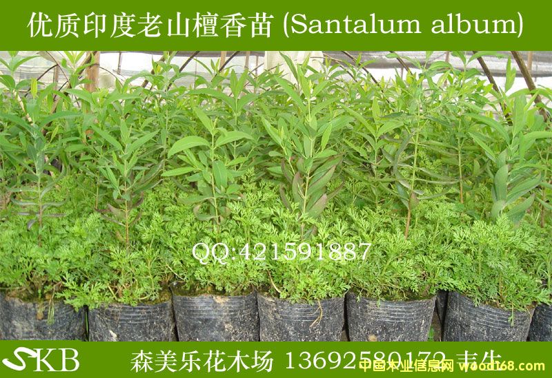 ̴���(sh��)��̴������̴���(sh��)��