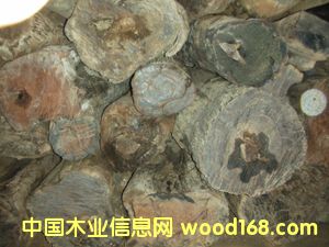 ��t��֦��Ԕ����B