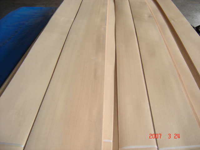 �c(di��n)���鿴Steamed Beech veneer�Ŵ�DƬ