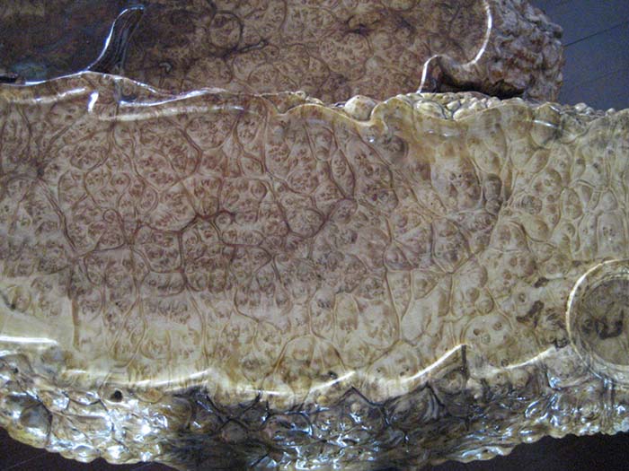 ����(y��ng)����/����/��̵�Ԕ��(x��)��B