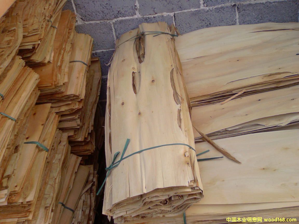 �������Ԕ����B