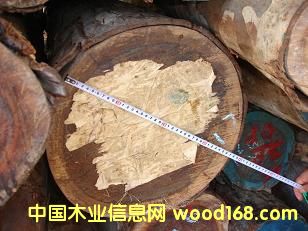 ��ľ��Ԕ��(x��)��B